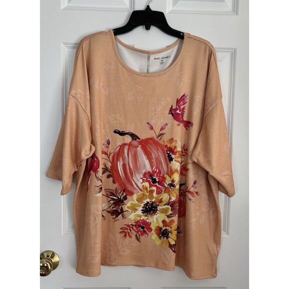 EMILY DANIELS WOMENS TOPS PULLOVER SCOOP NECK 3/4 SLEEVE FALL PUMPKING CARDINALS - Picture 2 of 7